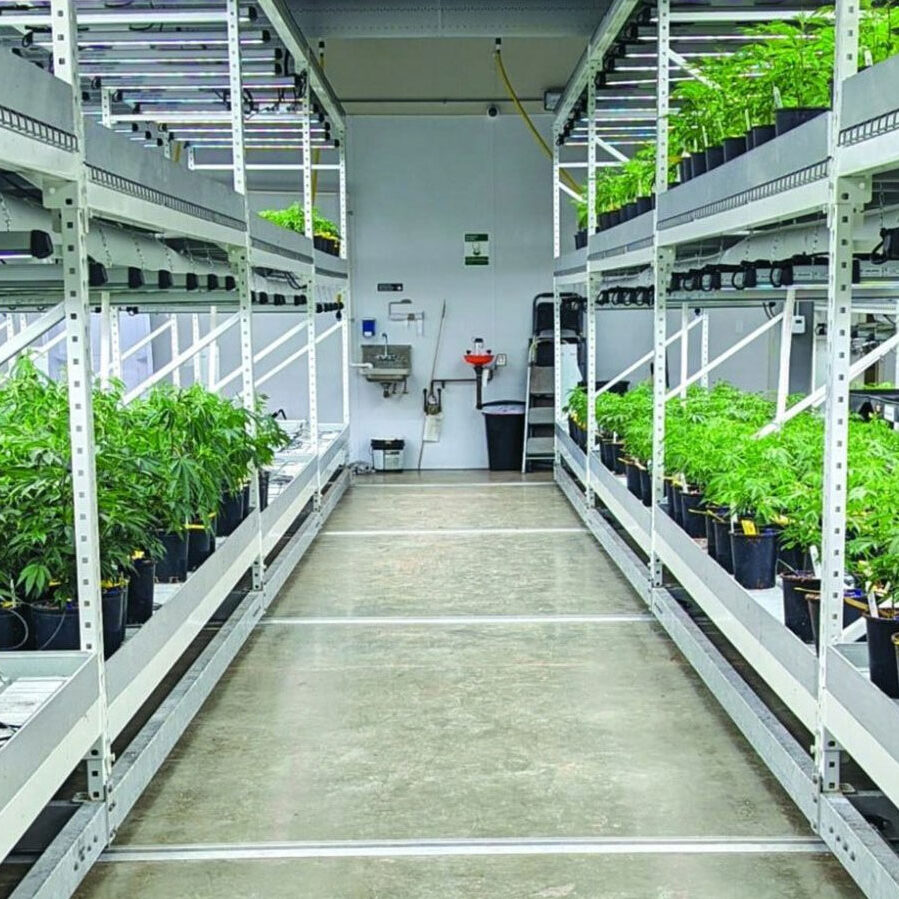 rollingbench, rolling bench, rolling benches, grow tray stand, grow tray stands